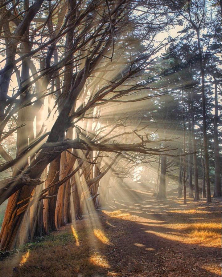Stunning Oceanview Coastal Home Beach Trails Family Activities Montara エクステリア 写真