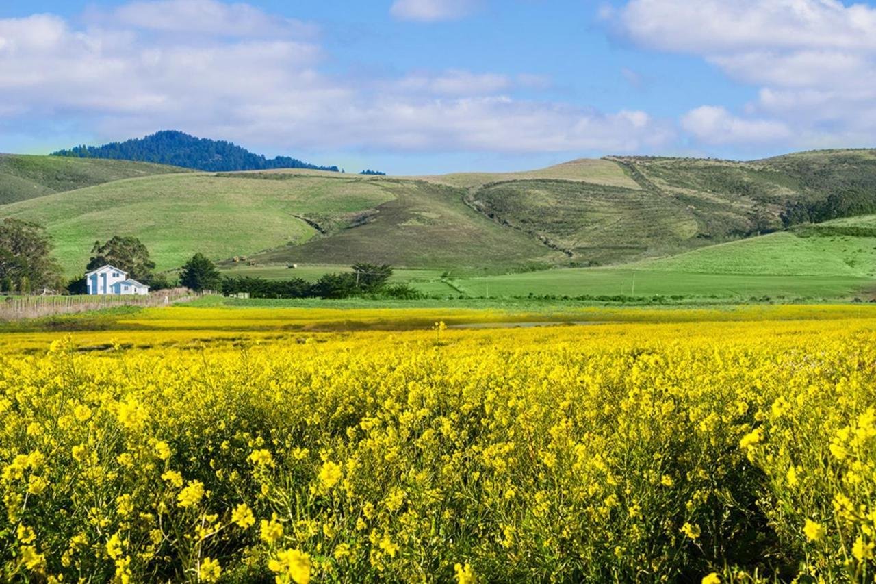 Stunning Oceanview Coastal Home Beach Trails Family Activities Montara エクステリア 写真